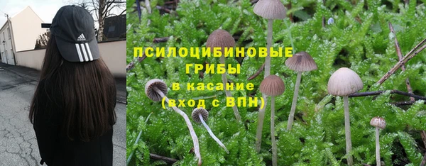 бошки Нея
