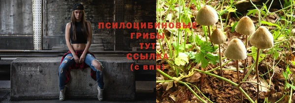гашик Нефтегорск