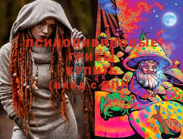 бошки Нея