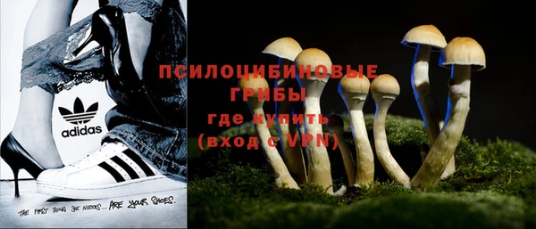 бошки Нея