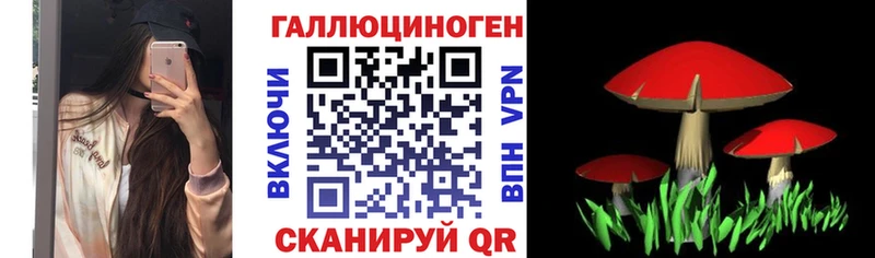 Псилоцибиновые грибы Psilocybe  kraken   Кыштым  купить  