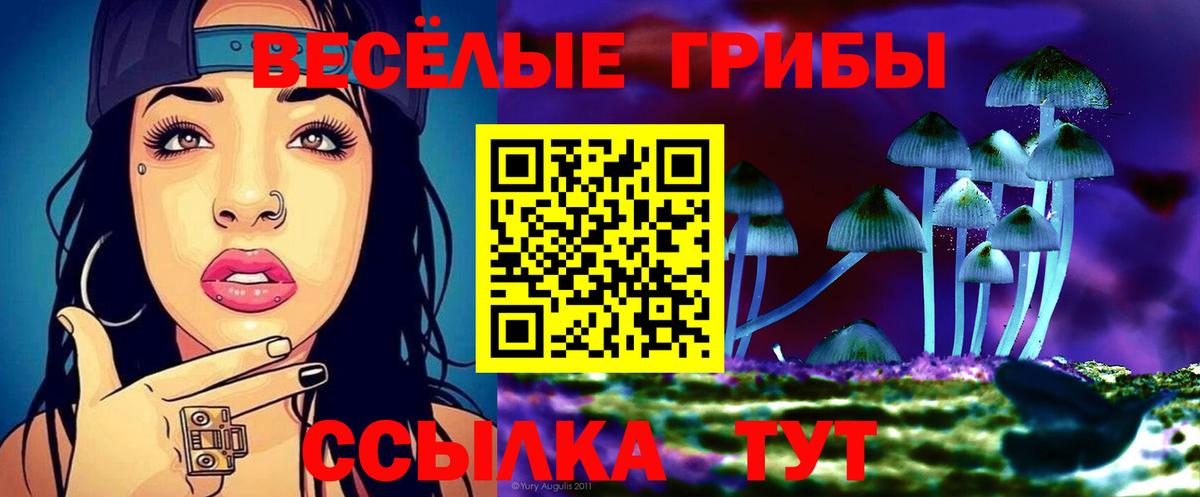 Псилоцибиновые грибы прущие грибы Кыштым